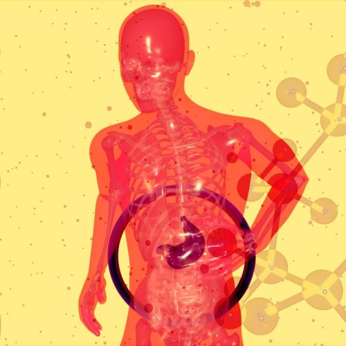 a picture of a human body with a diagram of the human body